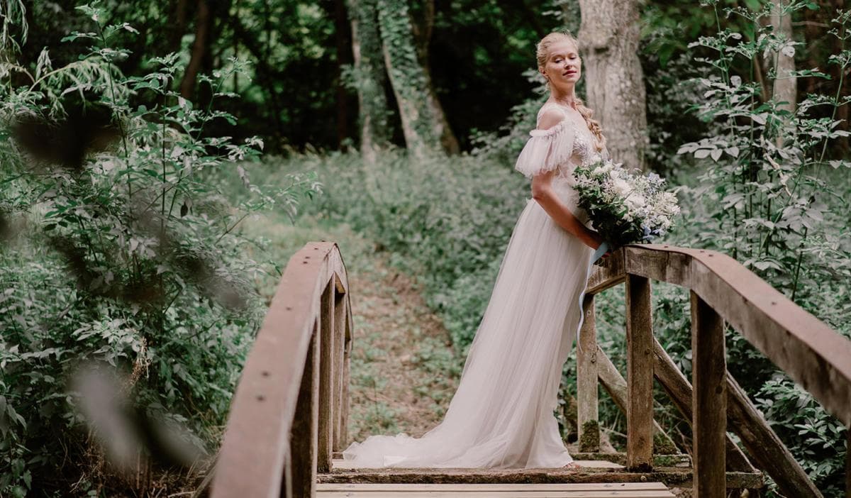 Le parc du domaine avec ses arbres centenaires